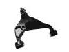 Control Arm:48069-0K040