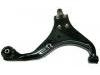 Control Arm:54500-2E000